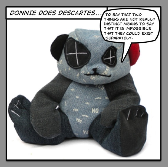 Fig. 01: Donnie Does Descartes. The first in a very special series in which Donnie Dunno contemplates the principal tenets of esteemed philosphers.